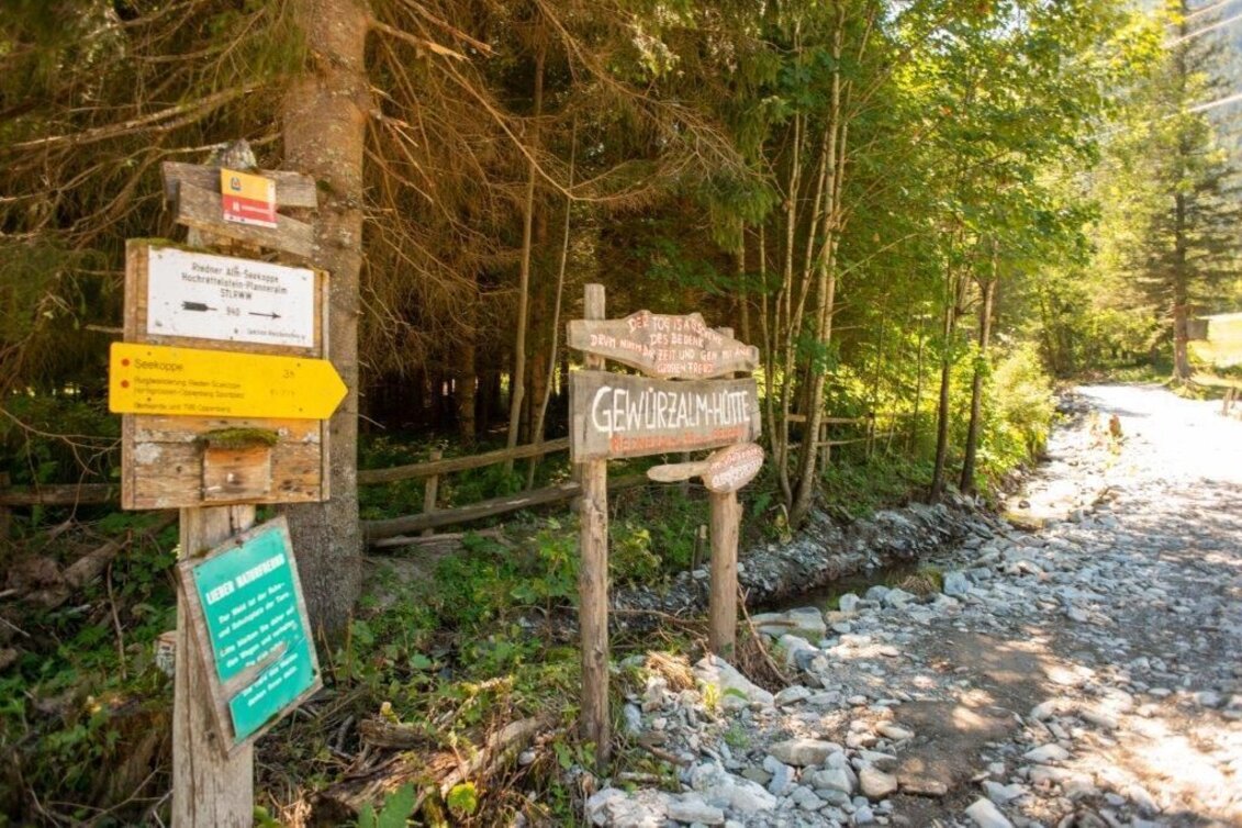 Hiking route Hiking to Gewürzalm Oppenberg - Touren-Impression #1 | © TV Gesäuse