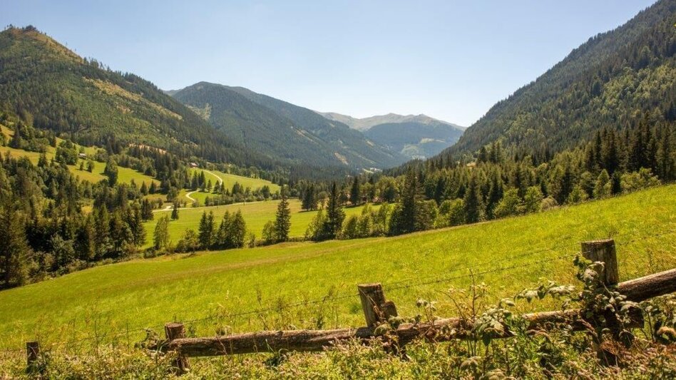 Hiking route Hiking to Gewürzalm Oppenberg - Touren-Impression #2.3 | © TV Gesäuse