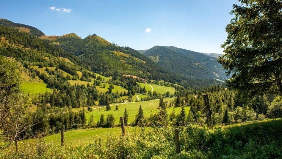 Hiking route Hiking to Gewürzalm Oppenberg - Touren-Impression #2.5 | © TV Gesäuse