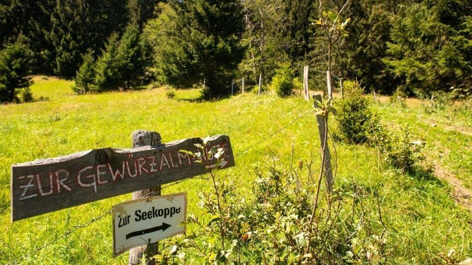 Hiking route Hiking to Gewürzalm Oppenberg - Touren-Impression #2.6 | © TV Gesäuse