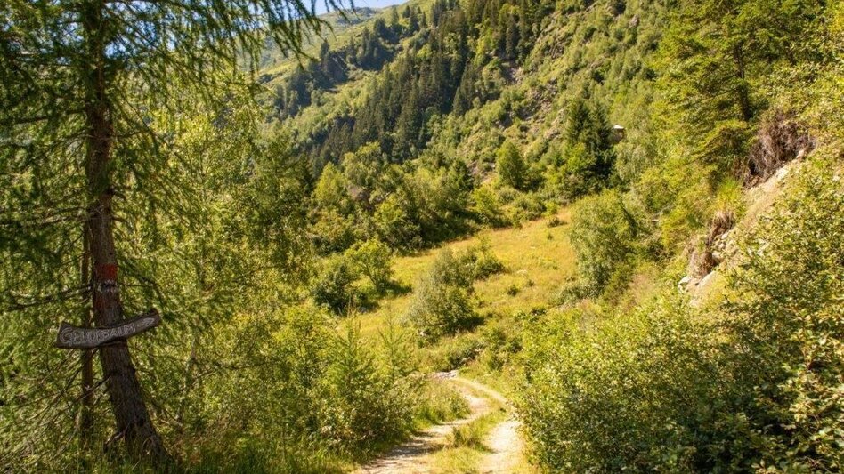 Hiking route Hiking to Gewürzalm Oppenberg - Touren-Impression #2.7 | © TV Gesäuse