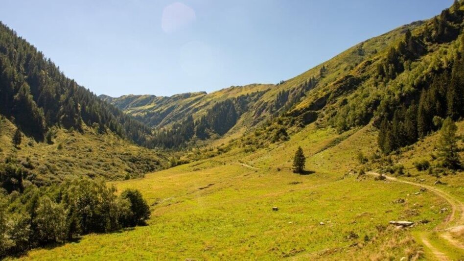Hiking route Hiking to Gewürzalm Oppenberg - Touren-Impression #2.8 | © TV Gesäuse