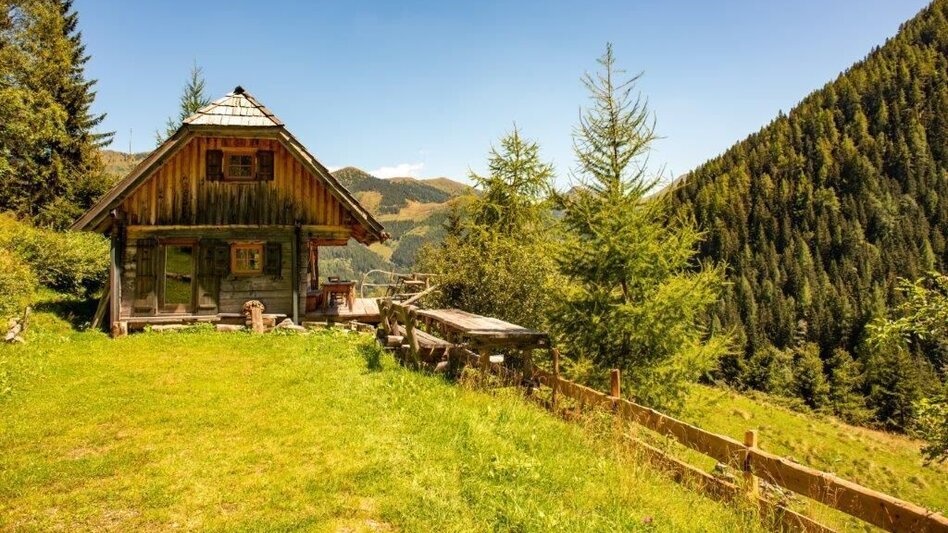 Hiking route Hiking to Gewürzalm Oppenberg - Touren-Impression #2.9 | © TV Gesäuse