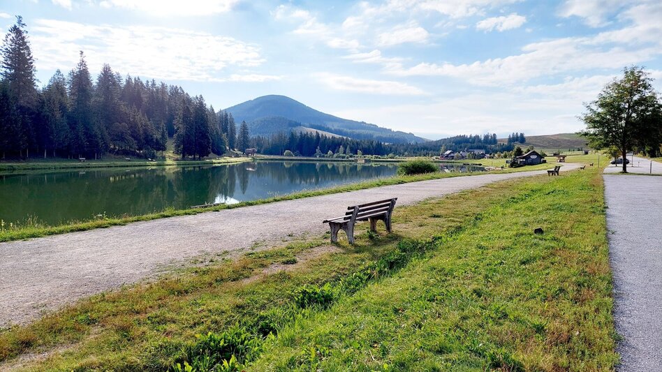 Bike Riding Dragon Tour Teichalm - Touren-Impression #2.1 | © Oststeiermark Tourismus