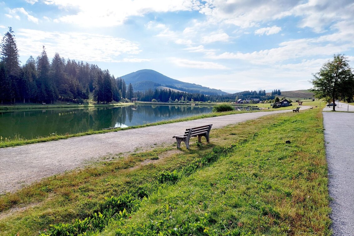 Bike Riding Dragon Tour Teichalm - Touren-Impression #1 | © Oststeiermark Tourismus