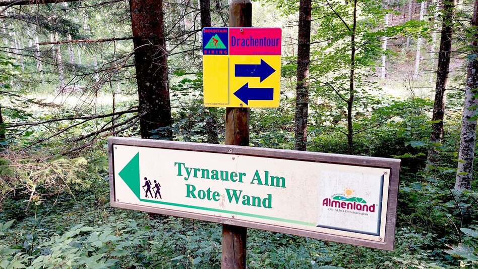 Bike Riding Dragon Tour Teichalm - Touren-Impression #2.2 | © Oststeiermark Tourismus