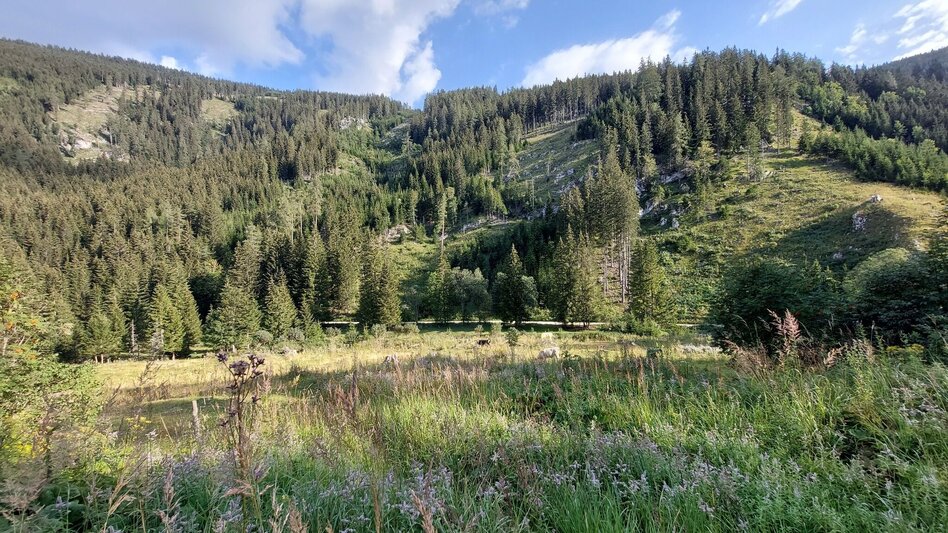 Bike Riding Dragon Tour Teichalm - Touren-Impression #2.3 | © Oststeiermark Tourismus