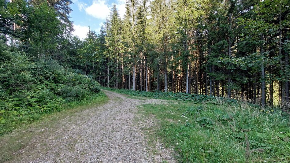 Bike Riding Dragon Tour Teichalm - Touren-Impression #2.4 | © Oststeiermark Tourismus