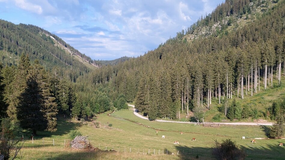 Bike Riding Dragon Tour Teichalm - Touren-Impression #2.5 | © Oststeiermark Tourismus