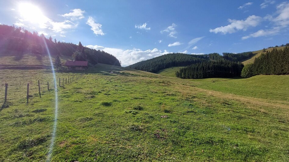 Bike Riding Dragon Tour Teichalm - Touren-Impression #2.6 | © Oststeiermark Tourismus