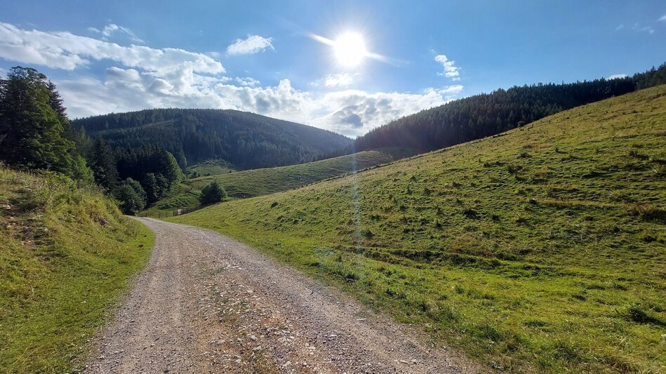 Bike Riding Dragon Tour Teichalm - Touren-Impression #2.7 | © Oststeiermark Tourismus
