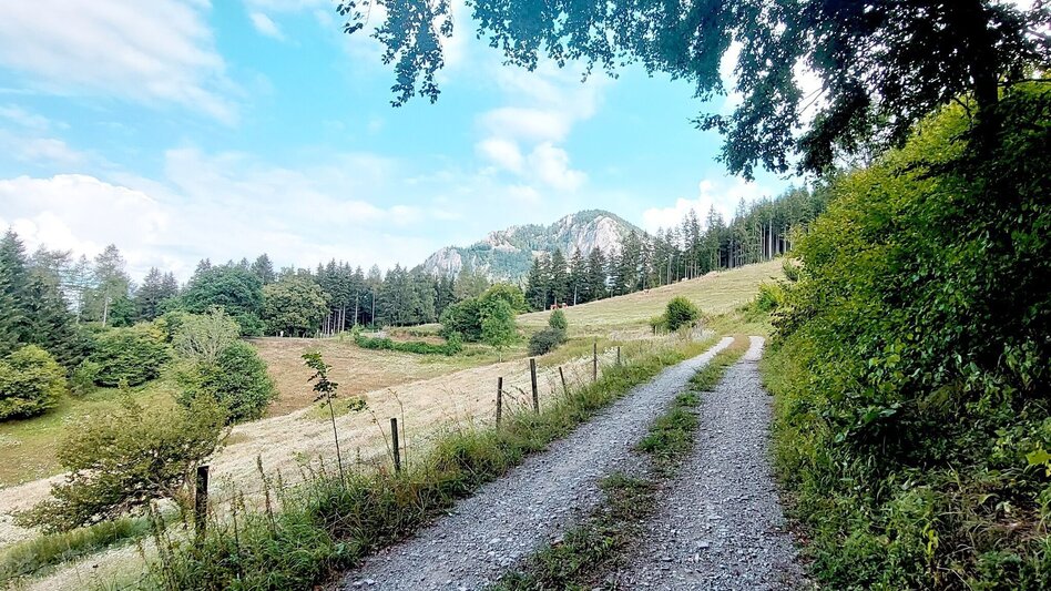 Bike Riding Dragon Tour Teichalm - Touren-Impression #2.9 | © Oststeiermark Tourismus