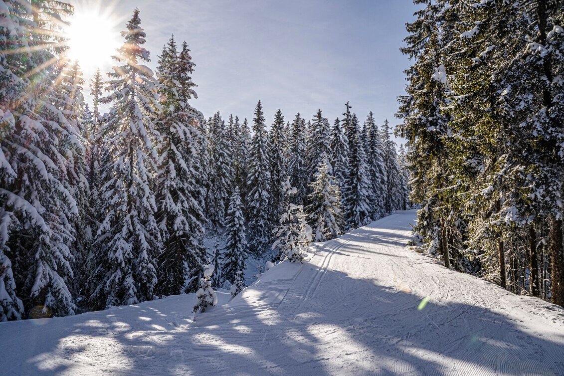 Ski nordic skating Rittisberg 1500 - Touren-Impression #1 | © Erlebnisregion Schladming-Dachstein