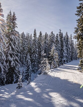 Moderater Anstieg der Höhenloipe Rittisberg 1500 zum Gipfelkreuz Rittisberg | Gerhard Pilz | © Erlebnisregion Schladming-Dachstein