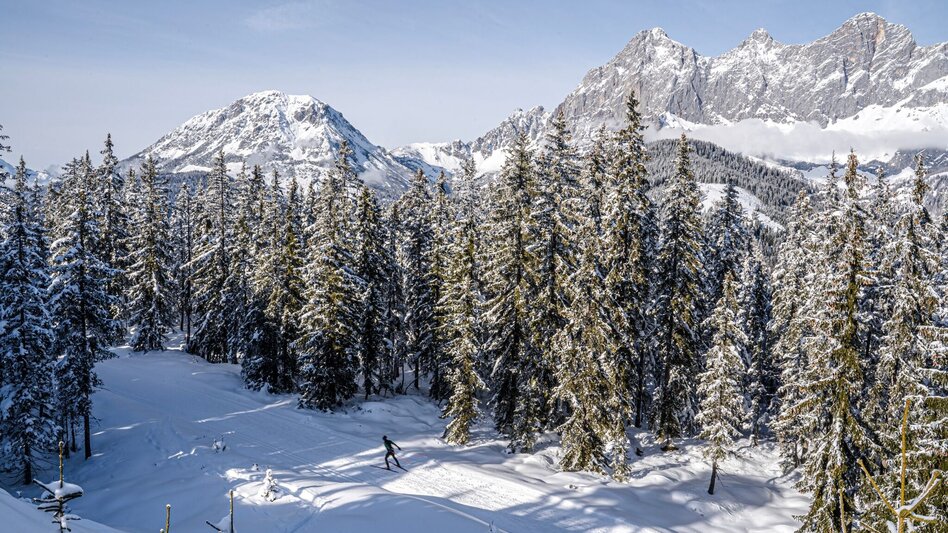 Ski nordic skating Rittisberg 1500 - Touren-Impression #2.2 | © Erlebnisregion Schladming-Dachstein