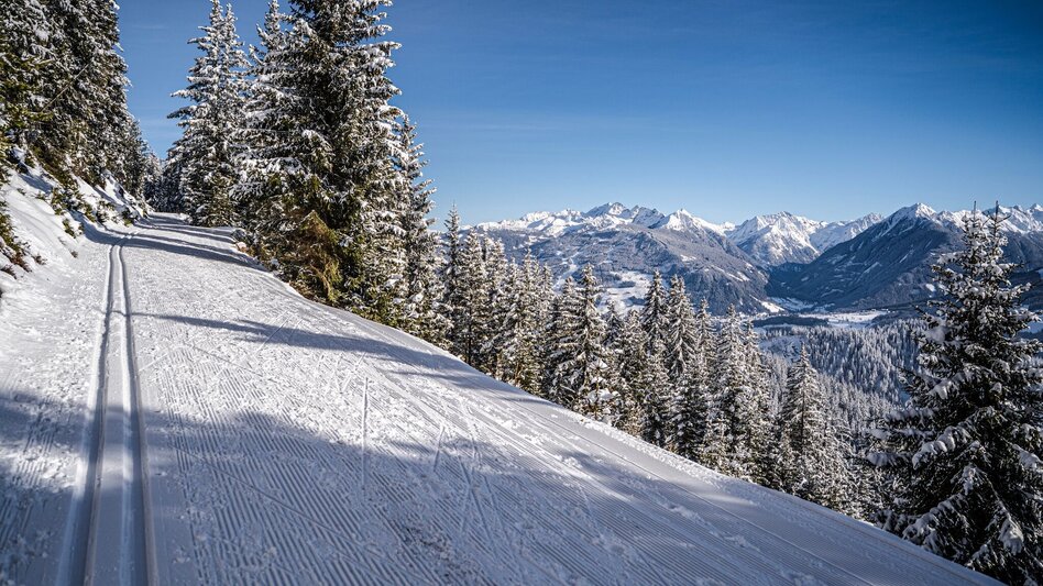 Ski nordic skating Rittisberg 1500 - Touren-Impression #2.3 | © Erlebnisregion Schladming-Dachstein