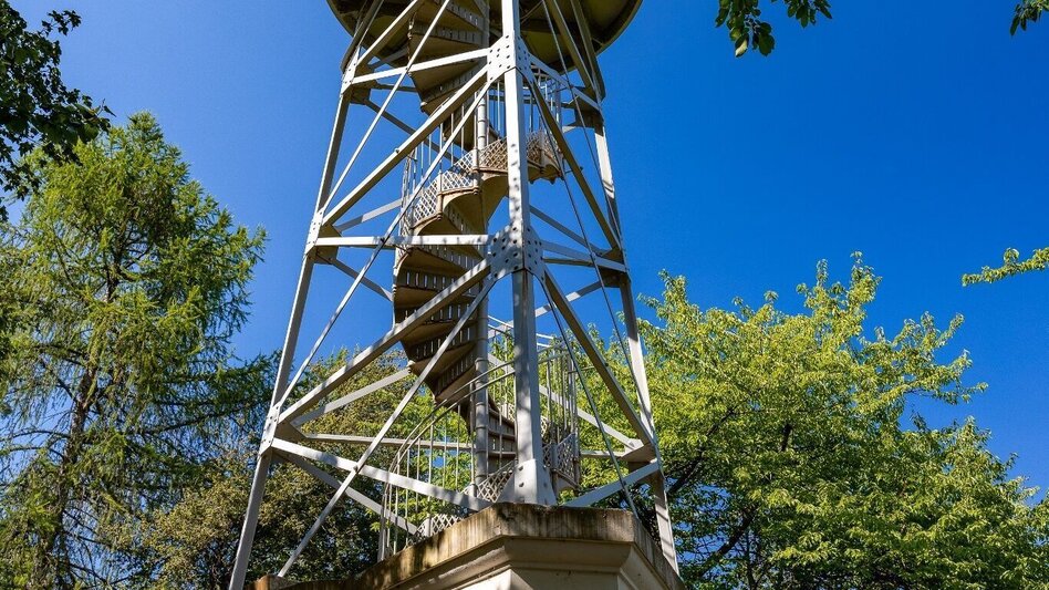 Wanderung Buchkogel: Der Weg ist das Ziel - Touren-Impression #2.6 | © Graz Tourismus