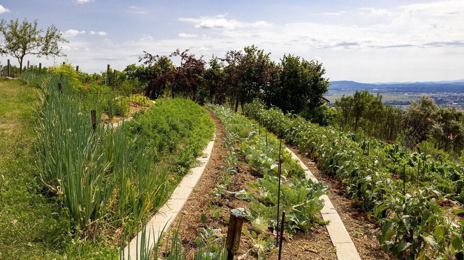 Wanderung Buchkogel: Der Weg ist das Ziel - Touren-Impression #2.10 | © Graz Tourismus