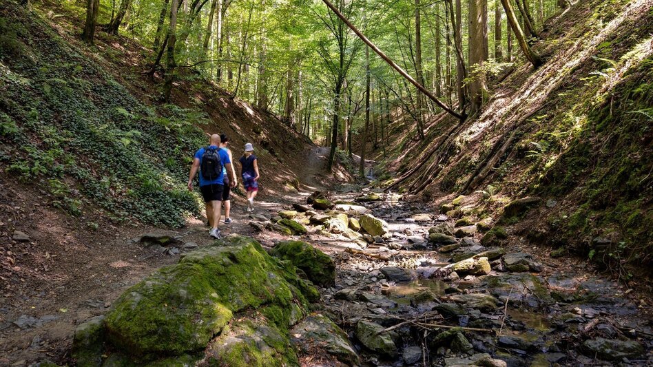 Wanderung Wanderung der Sinne: Rettenbachklamm - Mariatrost - Touren-Impression #2.4 | © Graz Tourismus