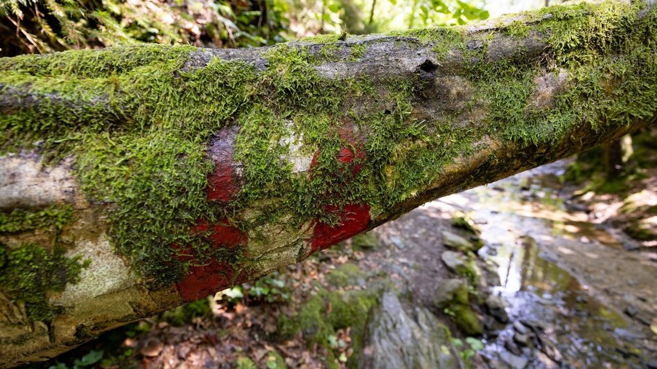 Wanderung Wanderung der Sinne: Rettenbachklamm - Mariatrost - Touren-Impression #2.5 | © Graz Tourismus