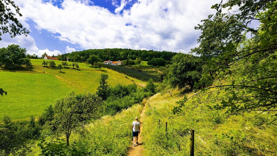 Wanderung Wanderung der Sinne: Rettenbachklamm - Mariatrost - Touren-Impression #2.6 | © Graz Tourismus