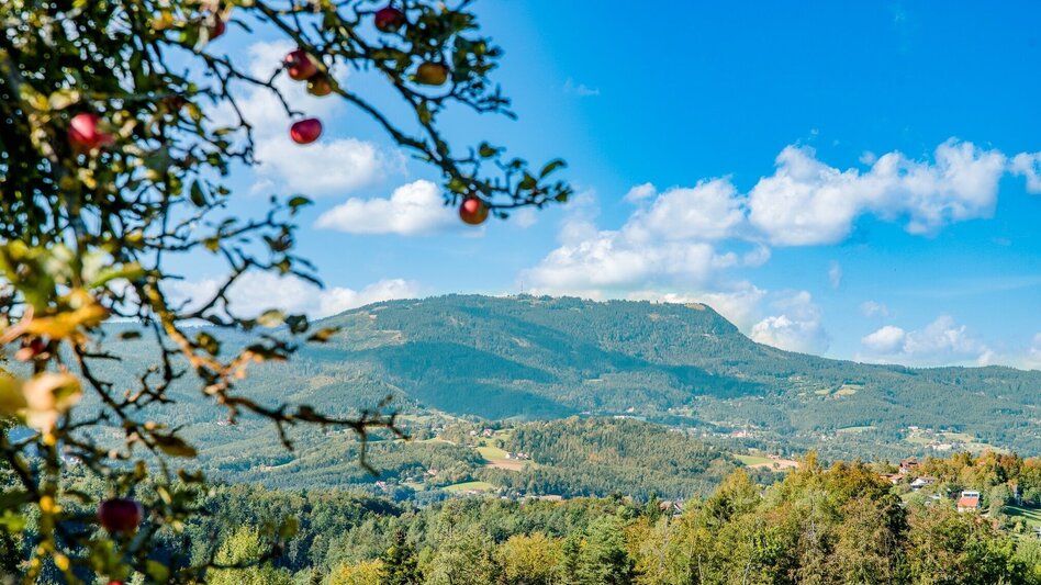 Hiking route Without borders: between the Schaftal and Stiftingtal valleys - Touren-Impression #2.1 | © Graz Tourismus