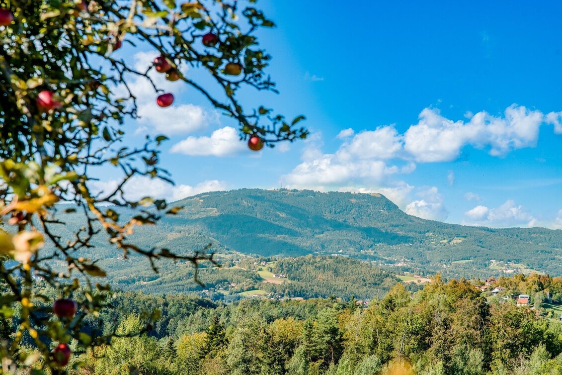 Hiking route Without borders: between the Schaftal and Stiftingtal valleys - Touren-Impression #1 | © Graz Tourismus