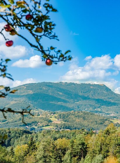 Blick auf den Schöckl | © Graz Tourismus | Mias Photoart | © Graz Tourismus
