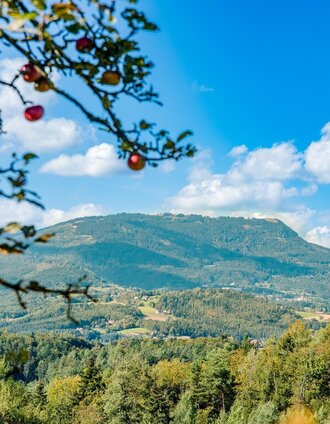 Blick auf den Schöckl | Mias Photoart | © Graz Tourismus