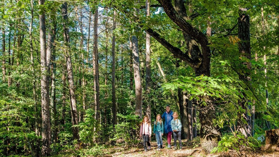 Hiking route Without borders: between the Schaftal and Stiftingtal valleys - Touren-Impression #2.3 | © Graz Tourismus