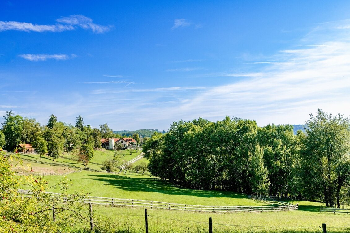 Hiking route Fun(ny) walk at the Lustbühel - Touren-Impression #1 | © Graz Tourismus