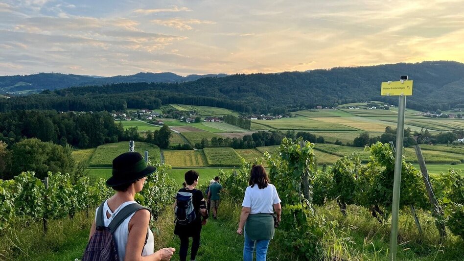 Wanderung Wildbacher Schilcherrundgang - Touren-Impression #2.1 | © TV Südsteiermark
