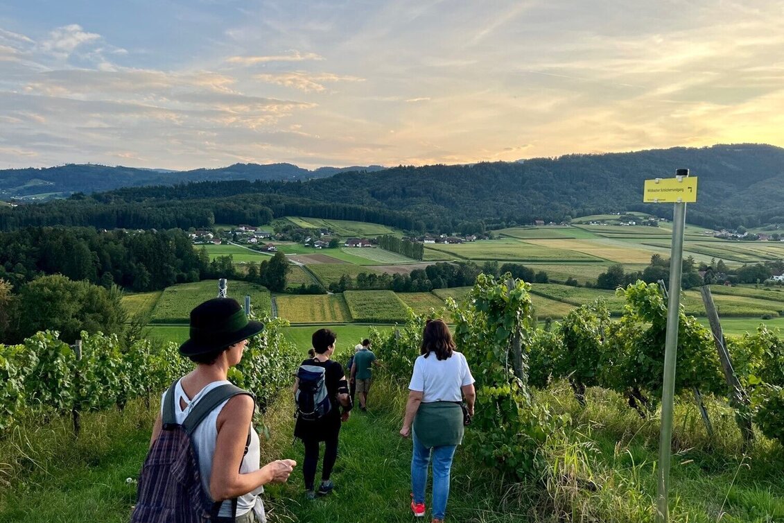 Wanderung Wildbacher Schilcherrundgang - Touren-Impression #1 | © TV Südsteiermark