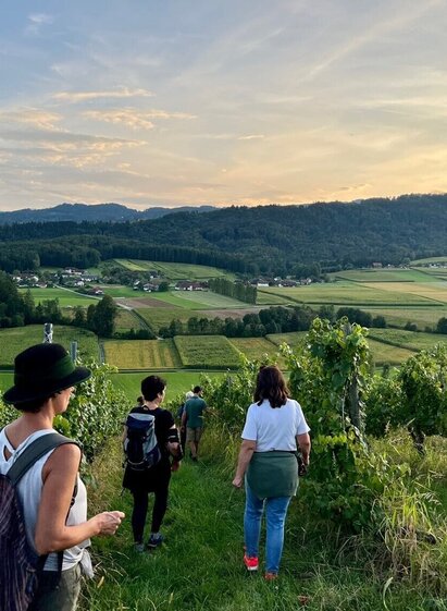 Wandern am Wildbachberg | © TV Südsteiermark | Mag. (FH) Stefanie Schmid, MBA | © TV Südsteiermark