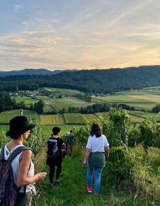 Wandern am Wildbachberg | Mag. (FH) Stefanie Schmid, MBA | © TV Südsteiermark