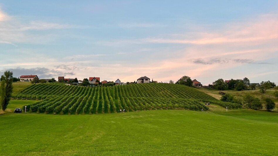 Wanderung Wildbacher Schilcherrundgang - Touren-Impression #2.2 | © Südsteiermark
