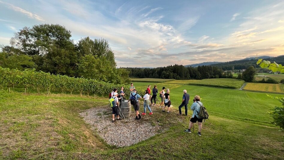 Wanderung Wildbacher Schilcherrundgang - Touren-Impression #2.3 | © TV Südsteiermark