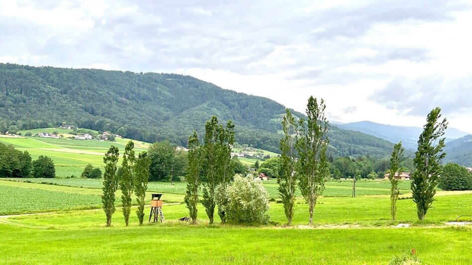 Wanderung Wildbacher Schilcherrundgang - Touren-Impression #2.4 | © TV Südsteiermark