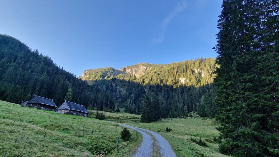 Mountain Hike Leobner - Blaseneck Runde - Touren-Impression #2.1 | © TV Gesäuse