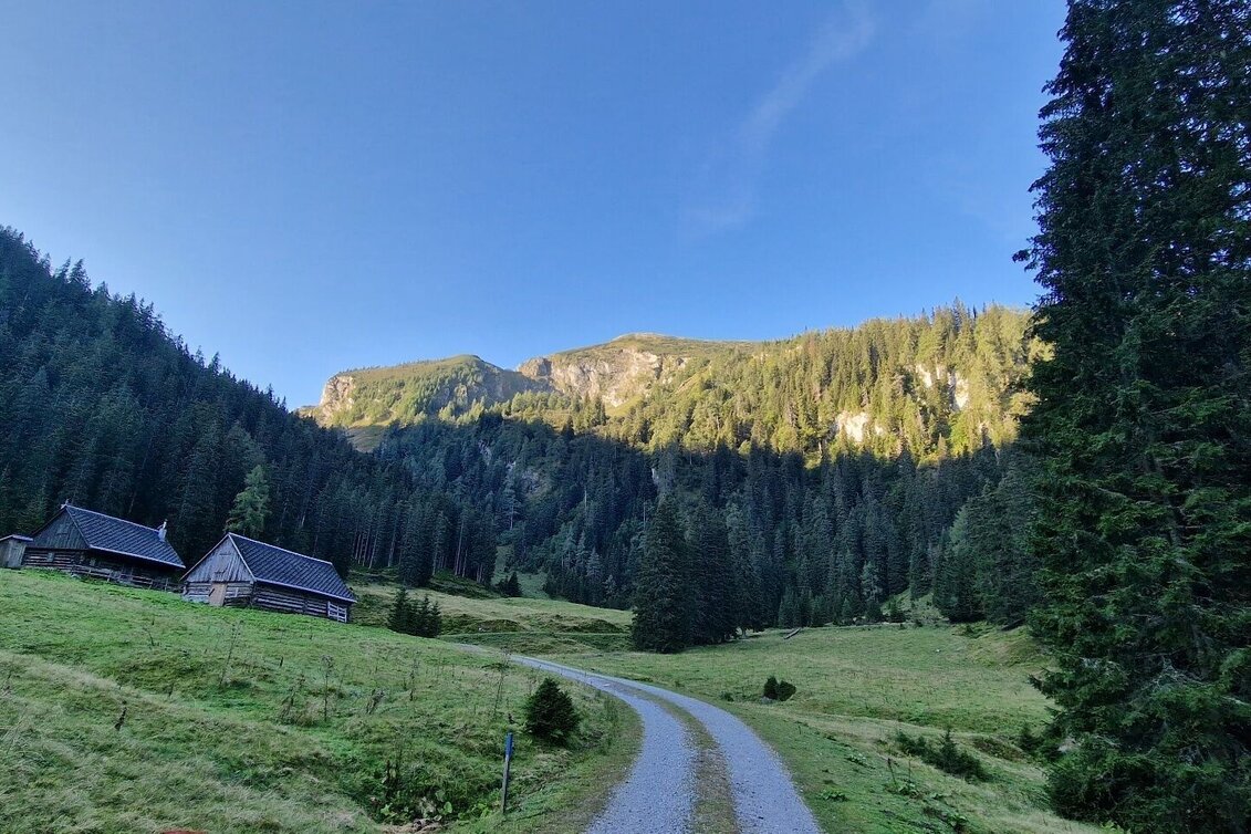 Mountain Hike Leobner - Blaseneck Runde - Touren-Impression #1 | © TV Gesäuse