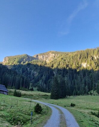 Grössingeralm | Tourismusverband Gesäuse | © TV Gesäuse