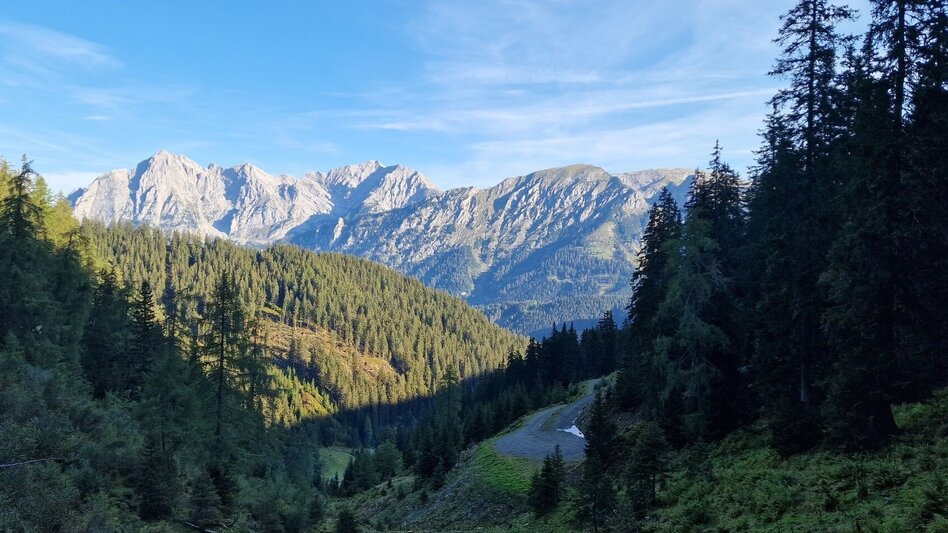 Mountain Hike Leobner - Blaseneck Runde - Touren-Impression #2.3 | © TV Gesäuse