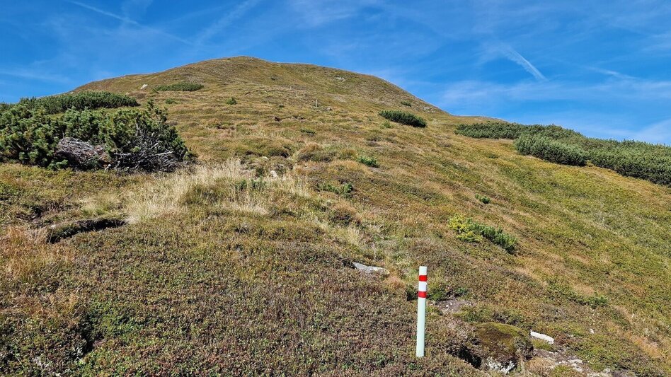 Mountain Hike Leobner - Blaseneck Runde - Touren-Impression #2.5 | © TV Gesäuse