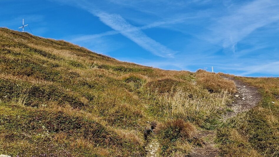 Mountain Hike Leobner - Blaseneck Runde - Touren-Impression #2.6 | © TV Gesäuse
