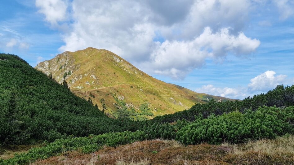 Mountain Hike Leobner - Blaseneck Runde - Touren-Impression #2.9 | © TV Gesäuse