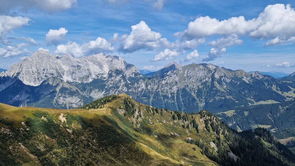 Mountain Hike Leobner - Blaseneck Runde - Touren-Impression #2.12 | © TV Gesäuse