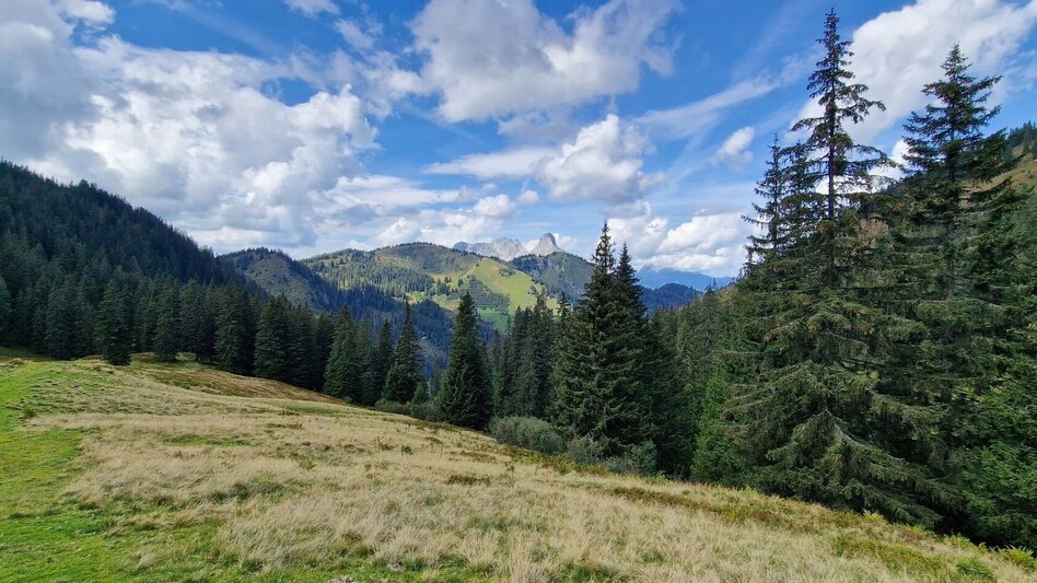 Mountain Hike Leobner - Blaseneck Runde - Touren-Impression #2.13 | © TV Gesäuse
