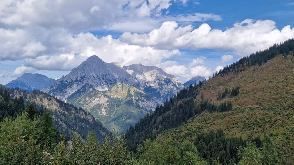 Mountain Hike Leobner - Blaseneck Runde - Touren-Impression #2.14 | © TV Gesäuse