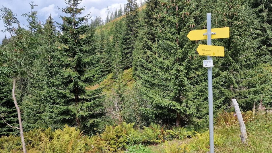 Mountain Hike Leobner - Blaseneck Runde - Touren-Impression #2.15 | © TV Gesäuse