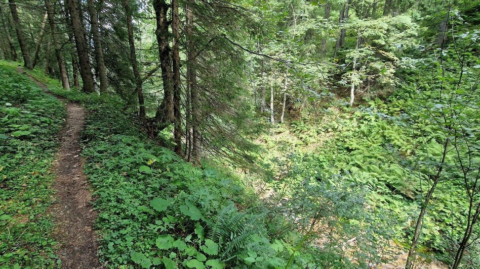 Mountain Hike Leobner - Blaseneck Runde - Touren-Impression #2.16 | © TV Gesäuse